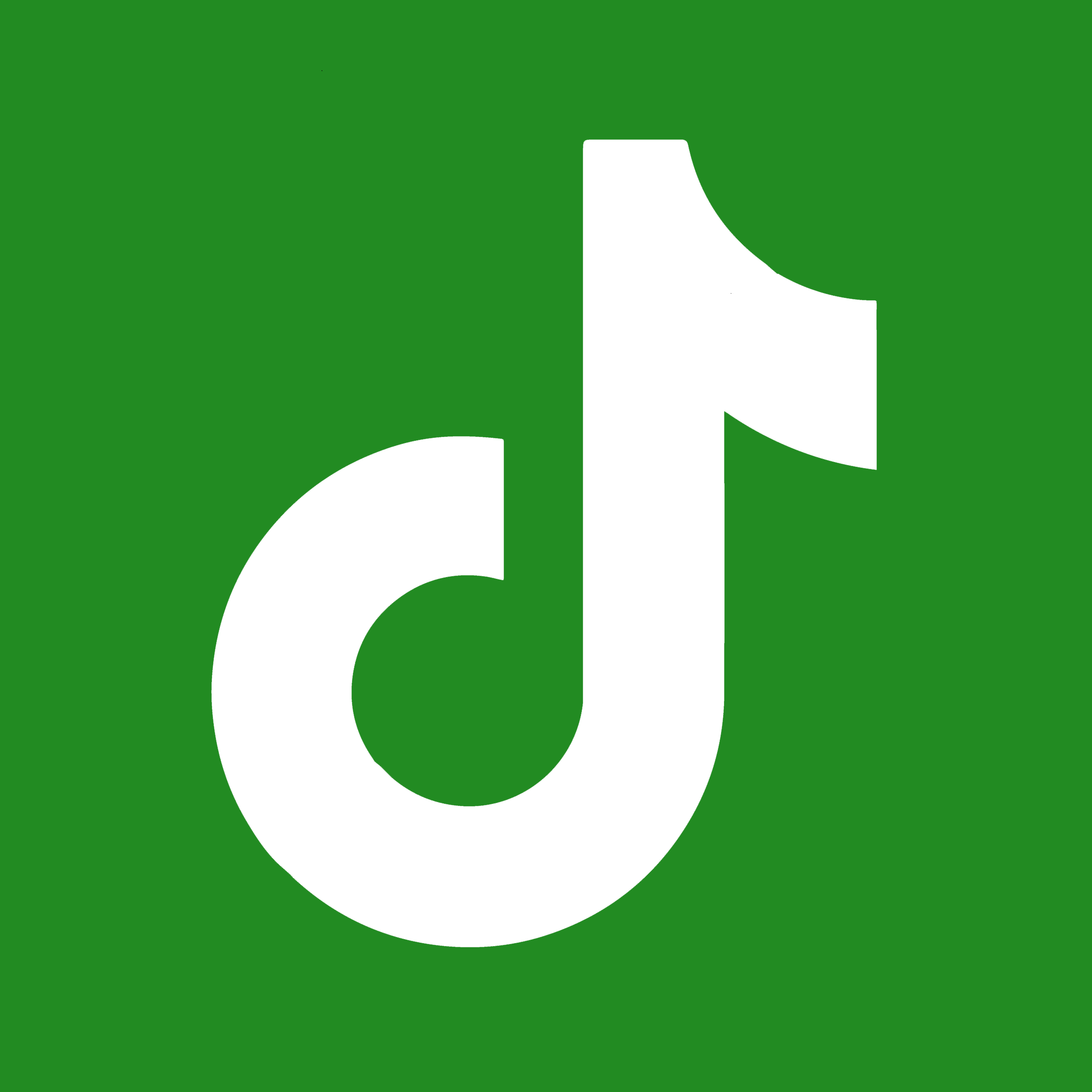 TikTok profile
